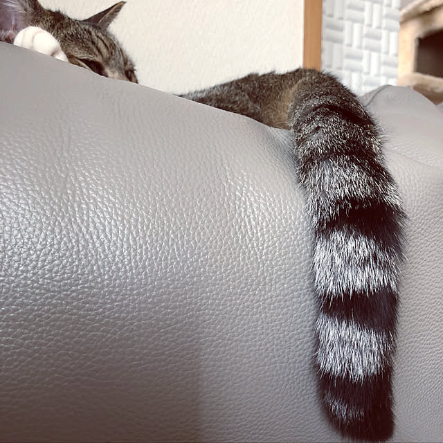 nnmmさんの実例写真