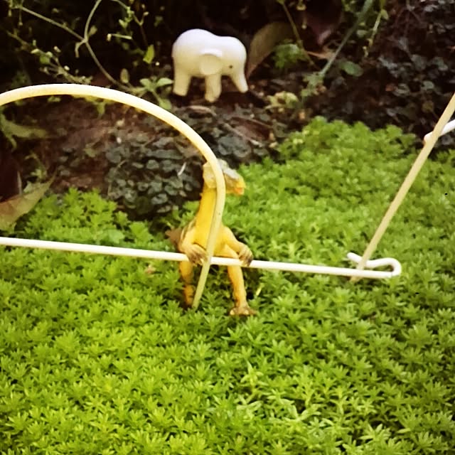 OKANさんの実例写真