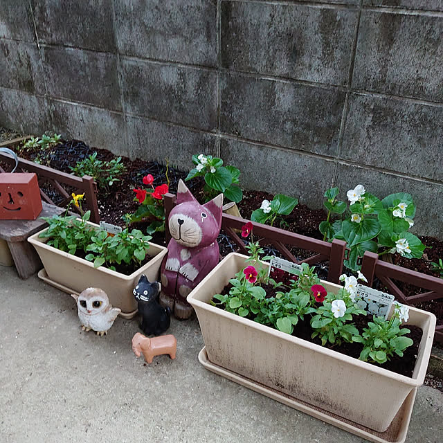 fukuさんの実例写真