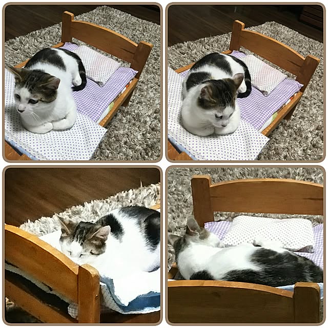 akikoさんの実例写真