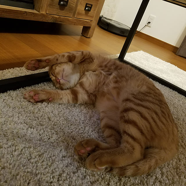 C.Tさんの実例写真