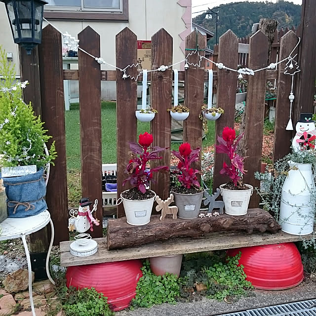 実例写真