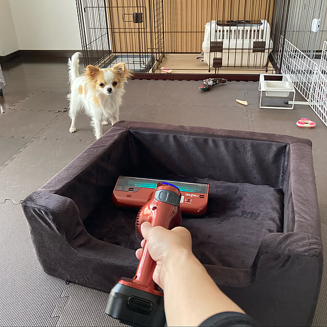 toratanさんの実例写真