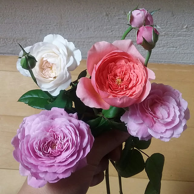 yukkoさんの実例写真