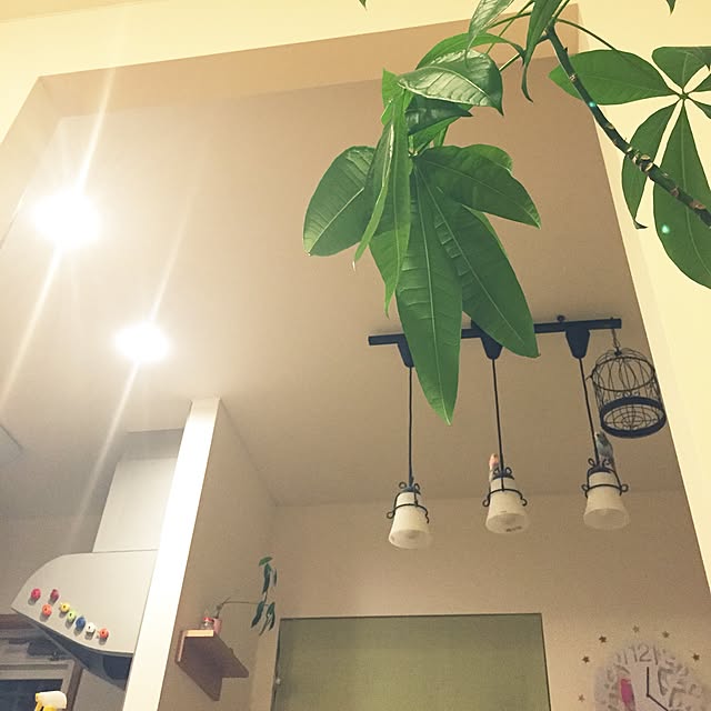 yukkyさんの実例写真