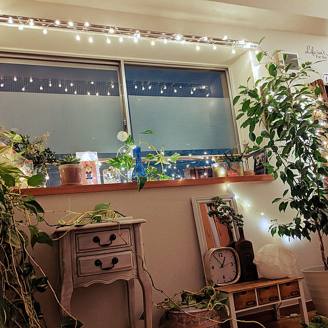 壁/天井/観葉植物/salut!/照明のインテリア実例 - 2020-05-17 15:40:57