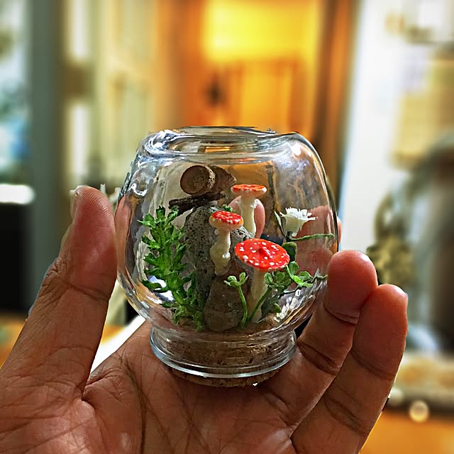 ramuchop3000さんの実例写真