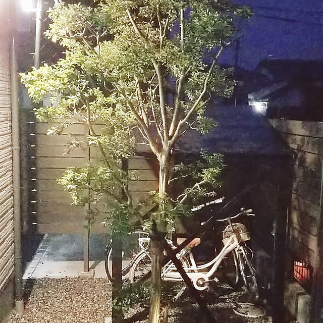 実例写真