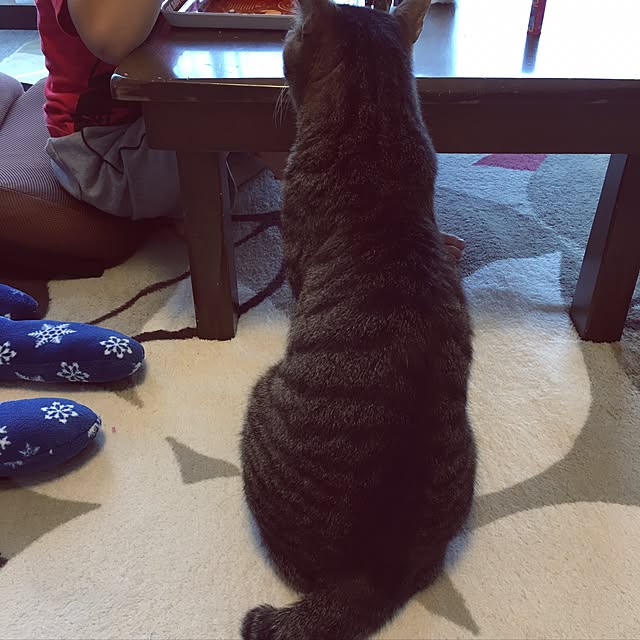 shigimiさんの実例写真