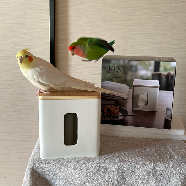 toratanさんの実例写真