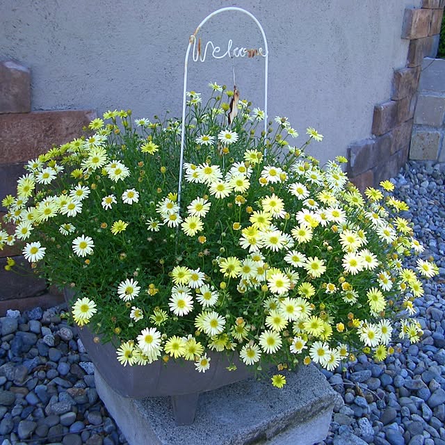 gardengardenさんの実例写真