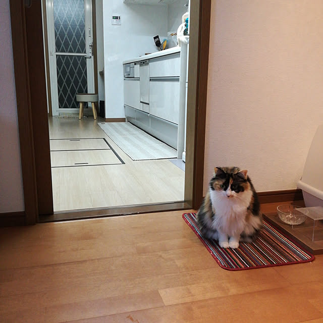momo-ohanaさんの実例写真
