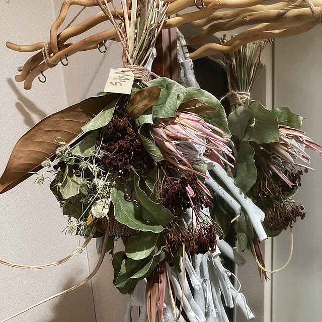 nepenthesさんの部屋