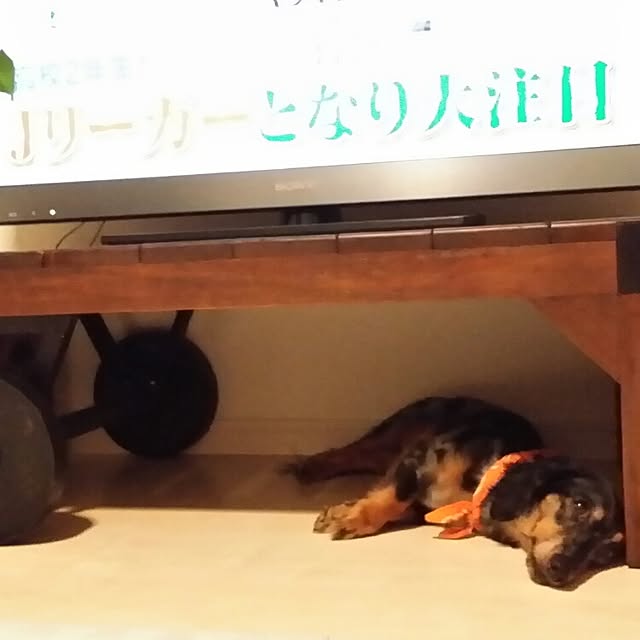 GaudisHouseさんの実例写真