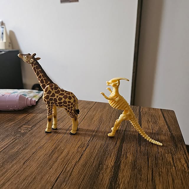 amiさんの実例写真