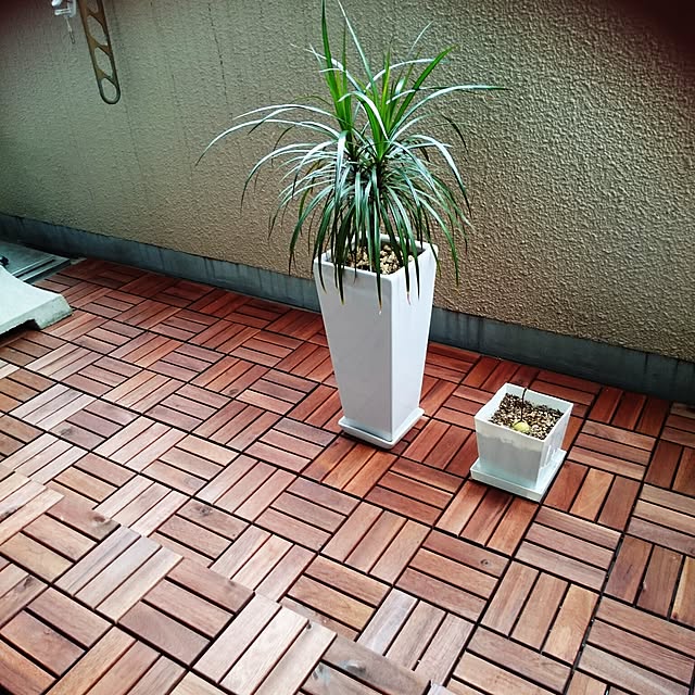 mayuko306さんの実例写真
