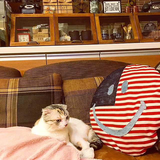 yokkochanさんの実例写真