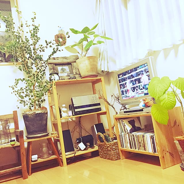 Aiさんの実例写真