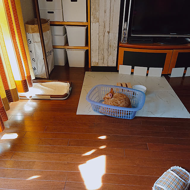 kikiさんの実例写真