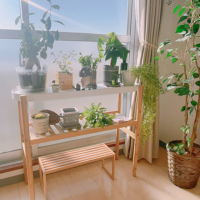 Hazukiさんの実例写真