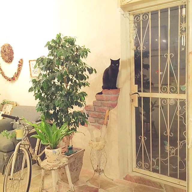 rosemaryさんの実例写真