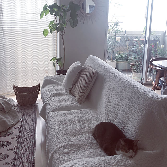 nekomiさんの実例写真