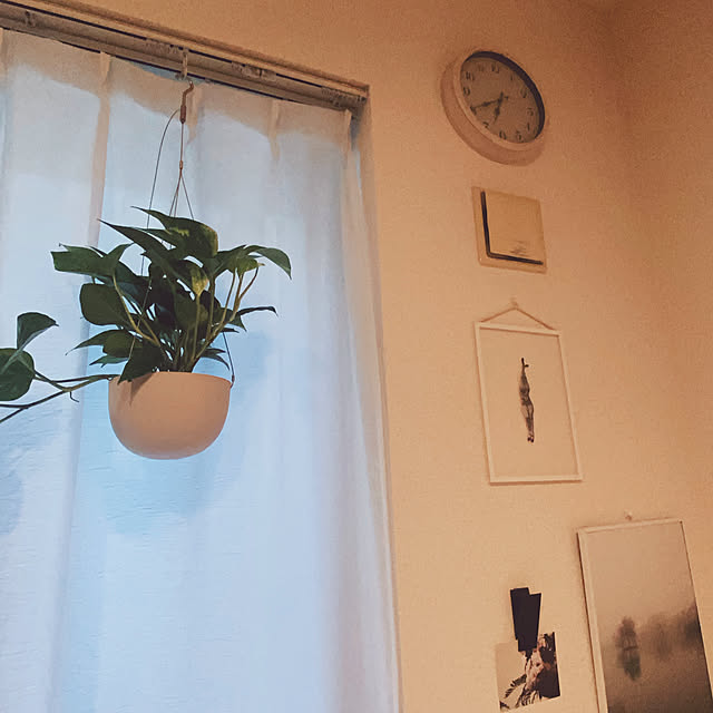 rinaさんの実例写真