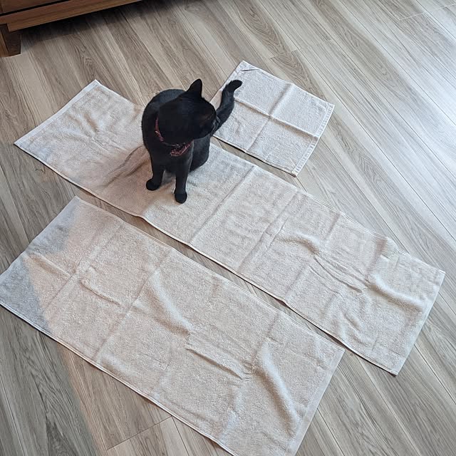 mm3さんの実例写真