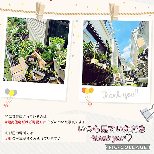 mo-nosukeさんの実例写真