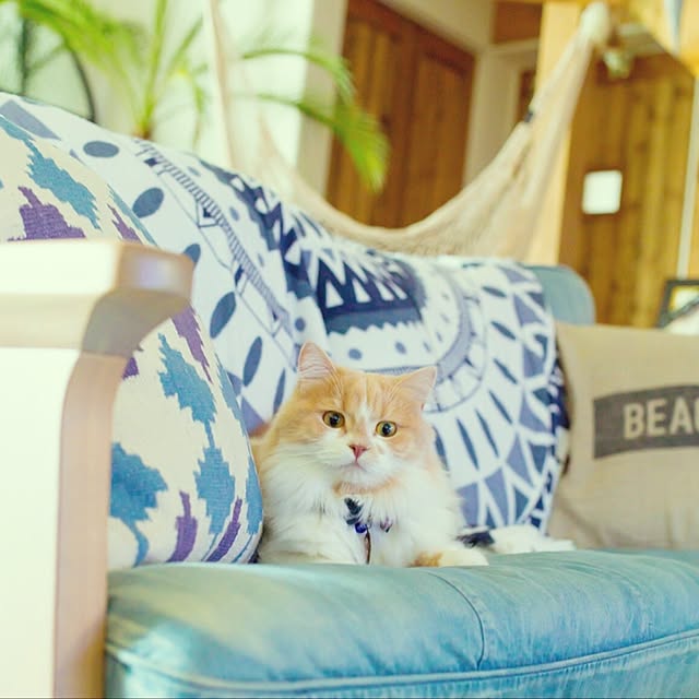 maruさんの実例写真