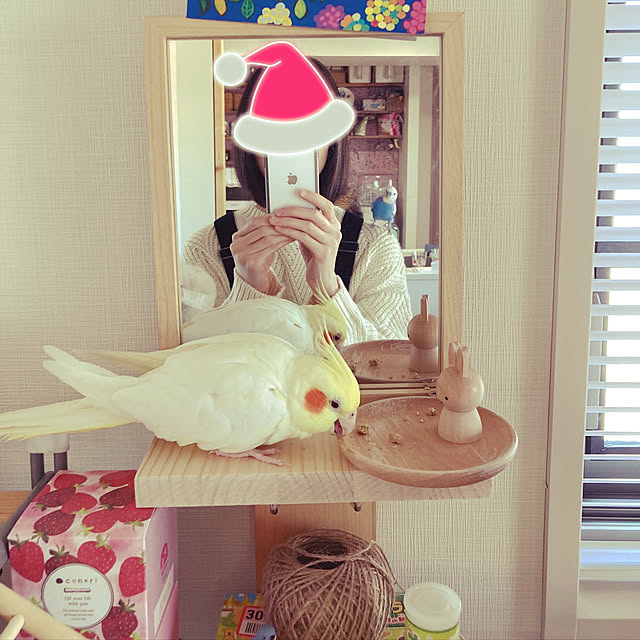 chicomaruさんの実例写真