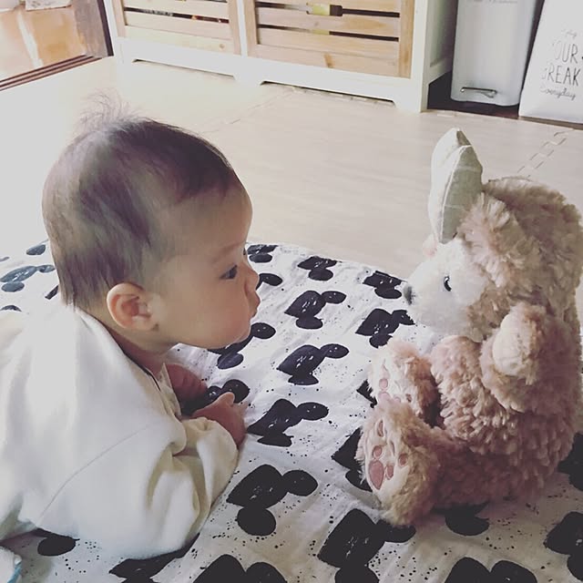 papyさんの実例写真