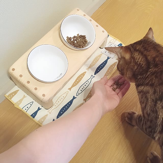 anさんの実例写真