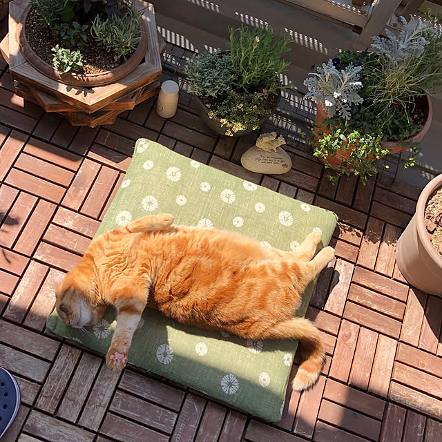 ponkkさんの実例写真