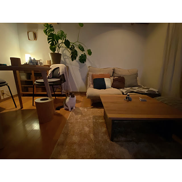 ttoさんの実例写真