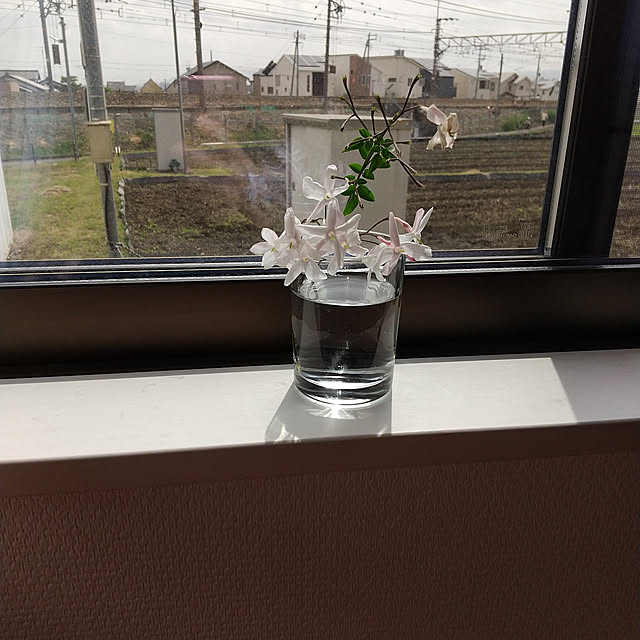 _+_ais_+_さんの実例写真