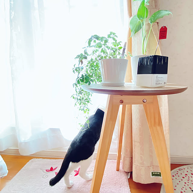 moolさんの実例写真