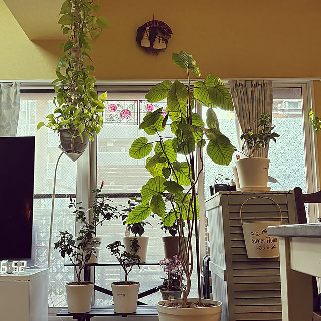 masayoさんの部屋