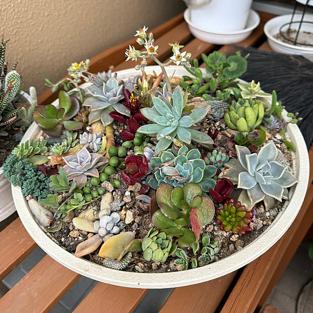 Aqettyさんの実例写真