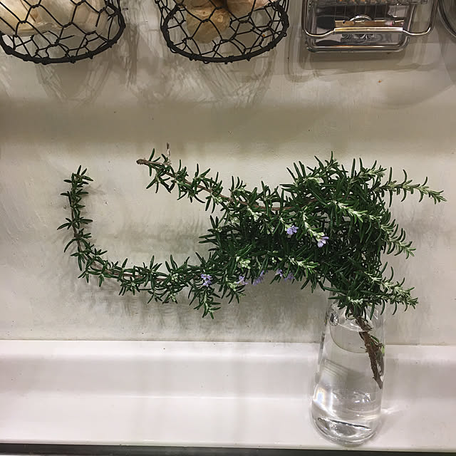 pisaさんの実例写真