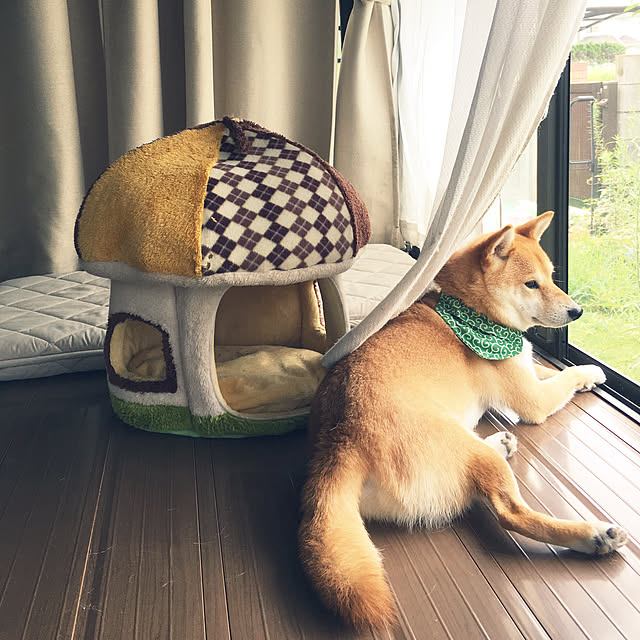 ronmaruさんの実例写真