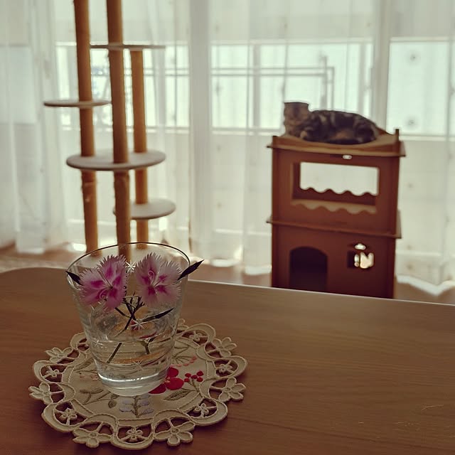 ricoricoさんの実例写真
