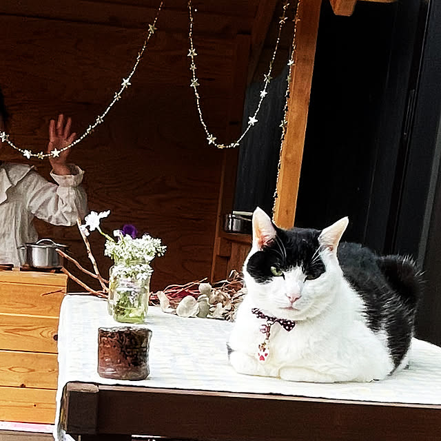 nekosamaさんの部屋