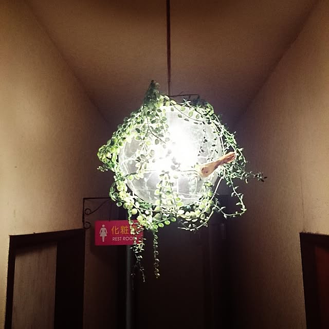 yutorogiさんの実例写真