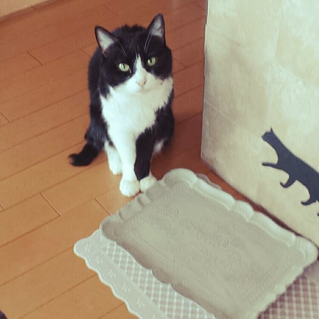 sangoさんの実例写真