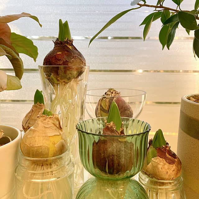 sunabaさんの部屋