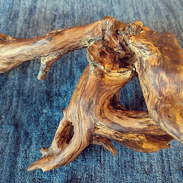 gin-chanさんの部屋