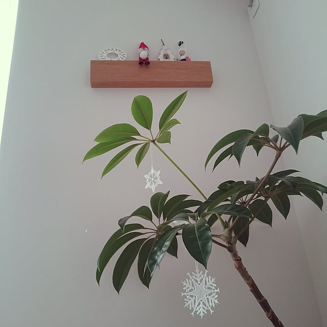 yuinacchiさんの実例写真