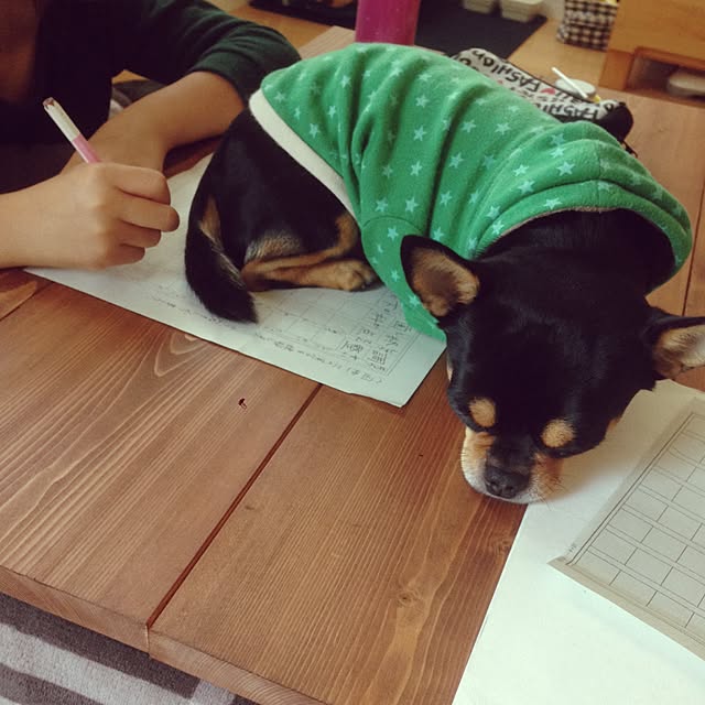 yokkoさんの実例写真