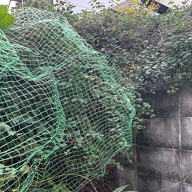 fumikoiさんの実例写真